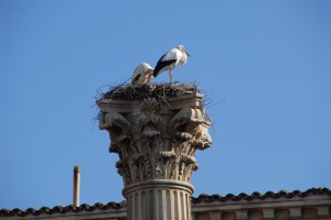 Espanha2006-02-05 155