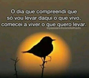 8e8228b8-9b4e-431e-aa62-3e2a323ecc46